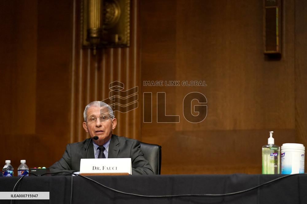 Senate Covid-19 Hearing - Washington