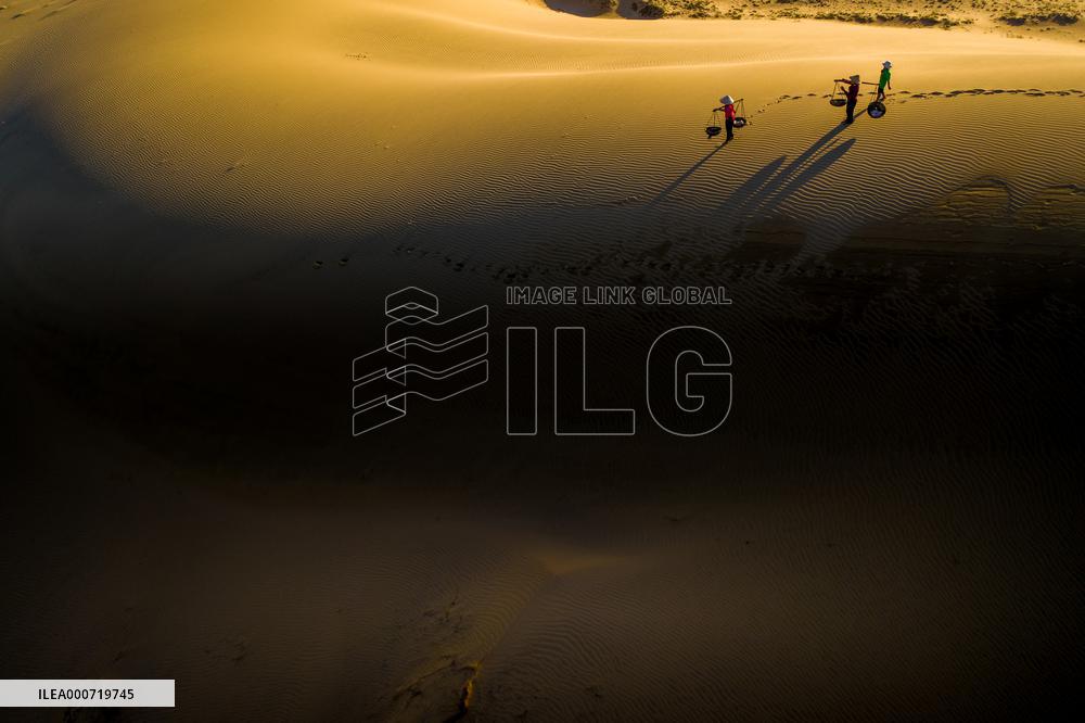 Sand Dune At Ninh Thuan - Vietnam