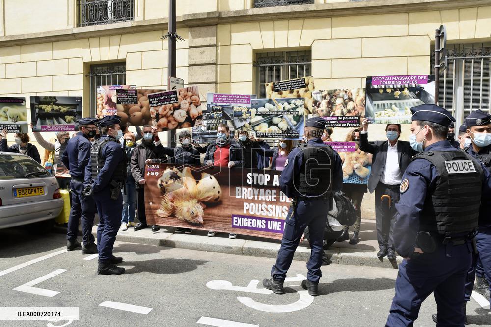 Vegan Impact Association Protest - Paris