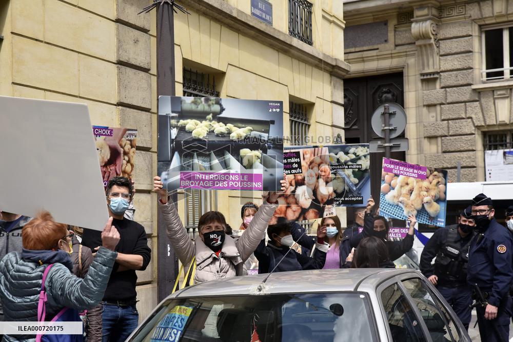 Vegan Impact Association Protest - Paris