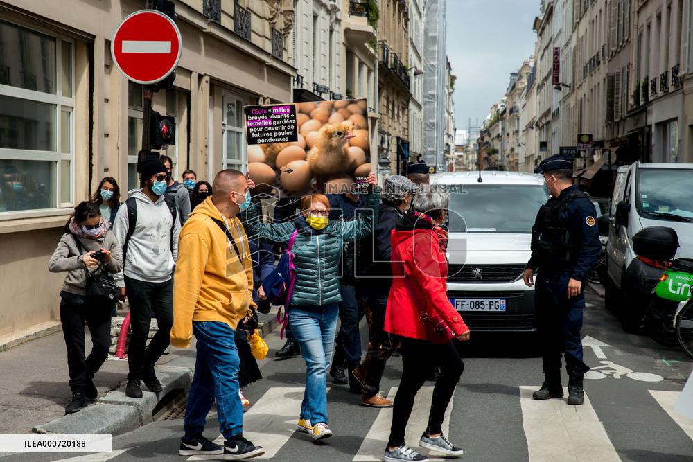 Vegan Impact Association Protest - Paris