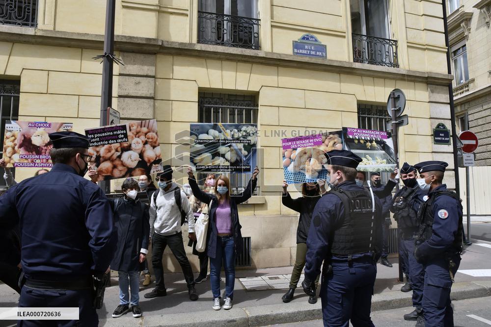 Vegan Impact Association Protest - Paris