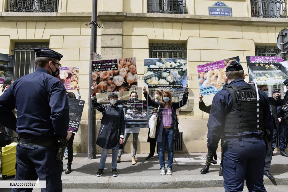 Vegan Impact Association Protest - Paris