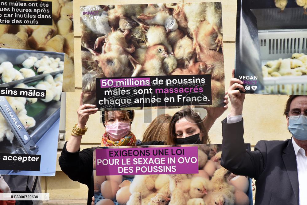 Vegan Impact Association Protest - Paris