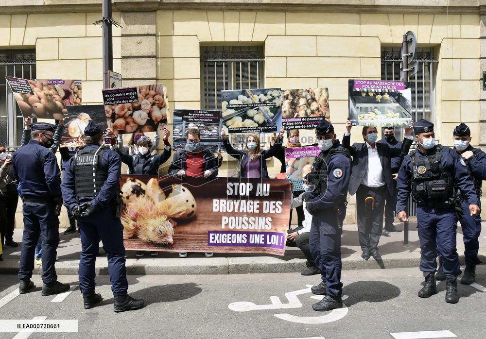 Vegan Impact Association Protest - Paris