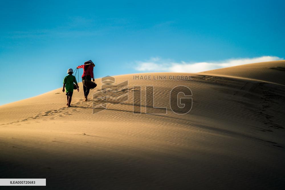 Sand Dune At Ninh Thuan - Vietnam
