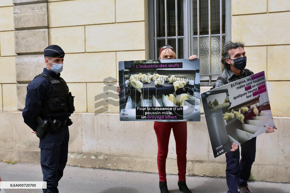 Vegan Impact Association Protest - Paris