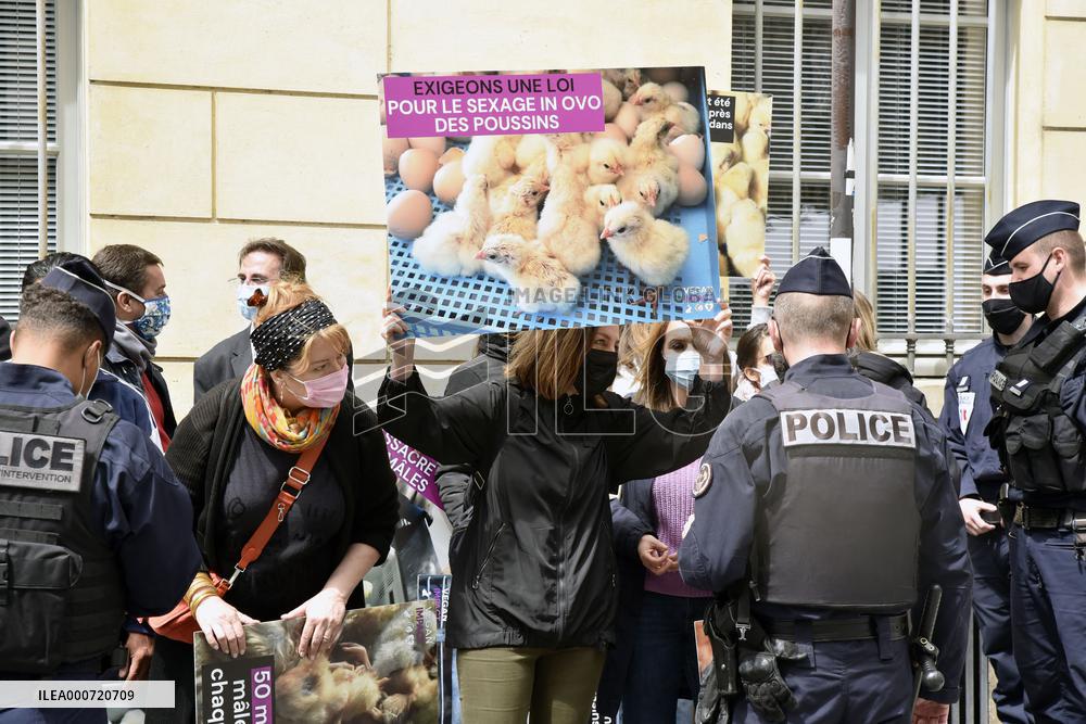 Vegan Impact Association Protest - Paris