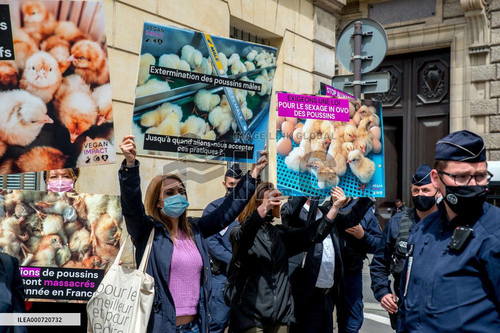Vegan Impact Association Protest - Paris