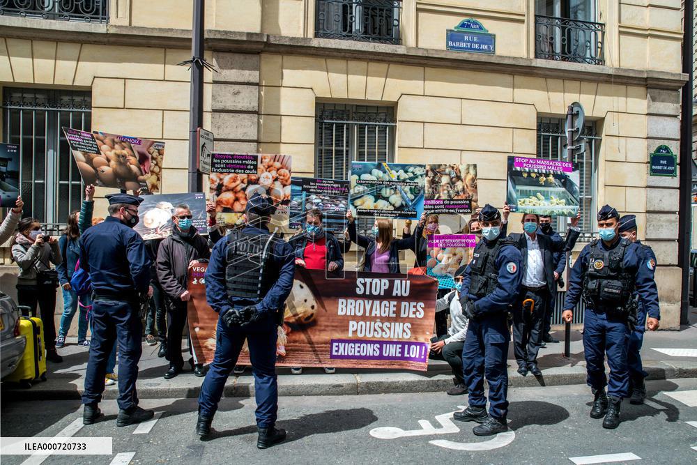 Vegan Impact Association Protest - Paris