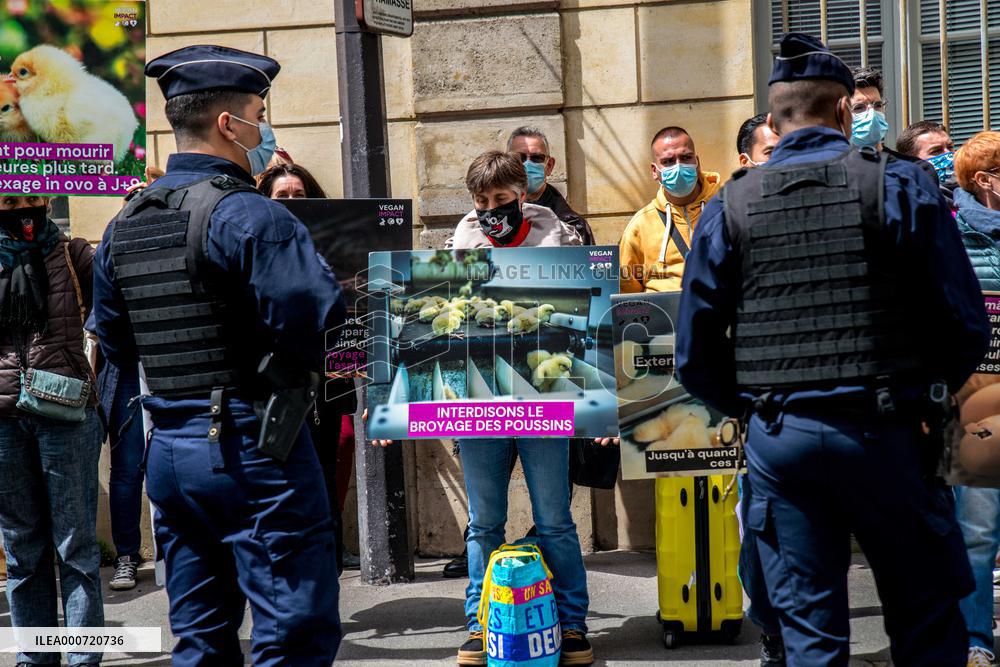 Vegan Impact Association Protest - Paris