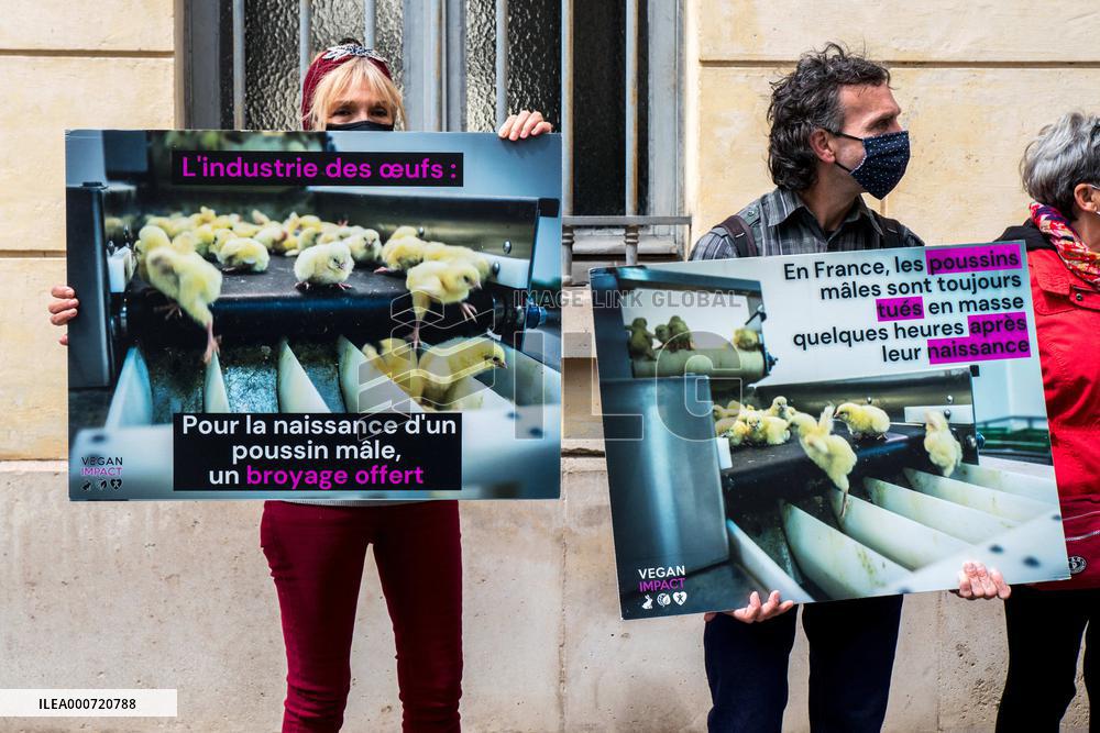 Vegan Impact Association Protest - Paris