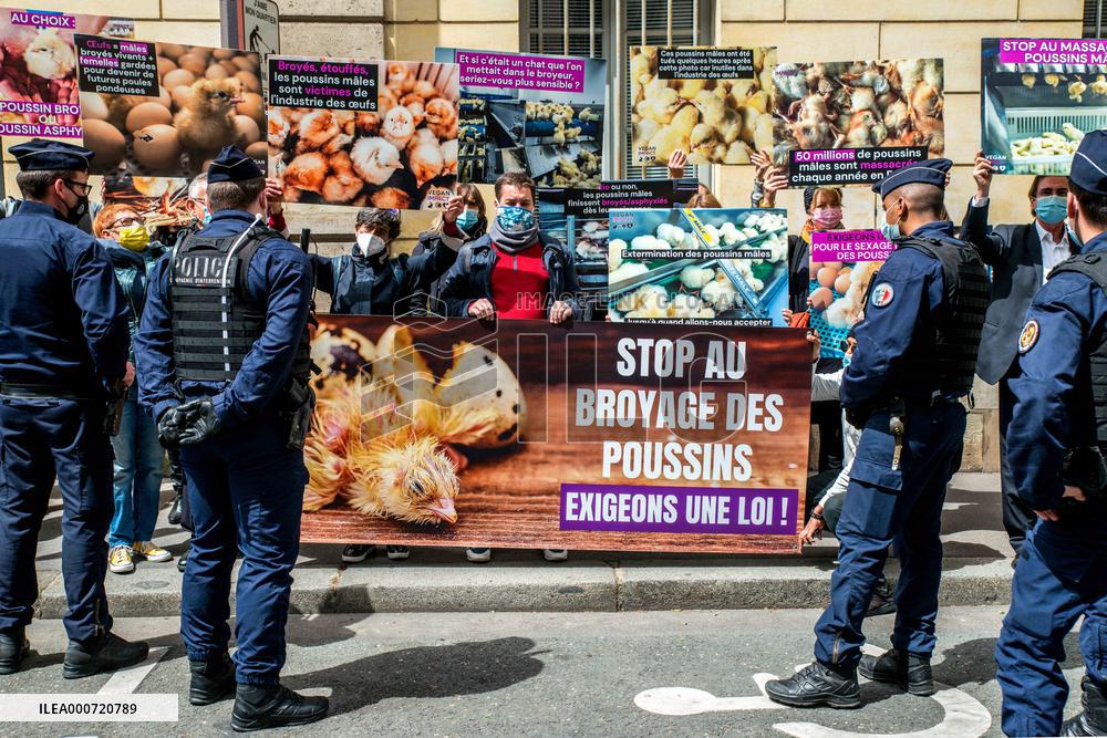 Vegan Impact Association Protest - Paris
