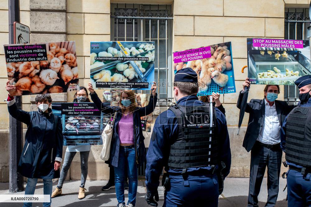 Vegan Impact Association Protest - Paris