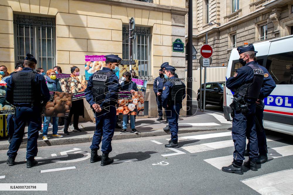 Vegan Impact Association Protest - Paris