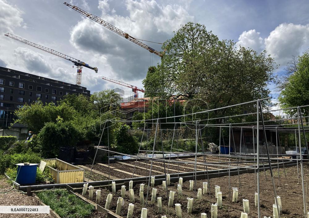 Voters To Cast Ballots On Pesticide-Free Farming - Switzerland