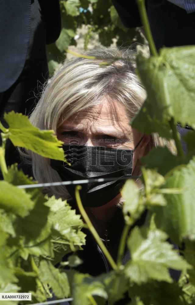 Marine Le Pen Campaigns - Nimes