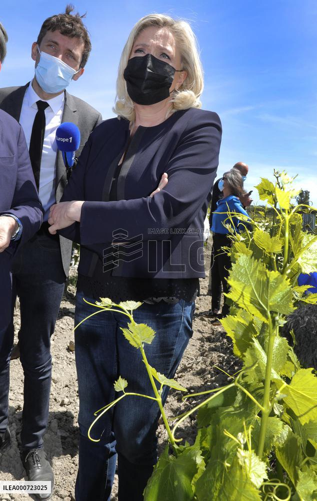Marine Le Pen Campaigns - Nimes