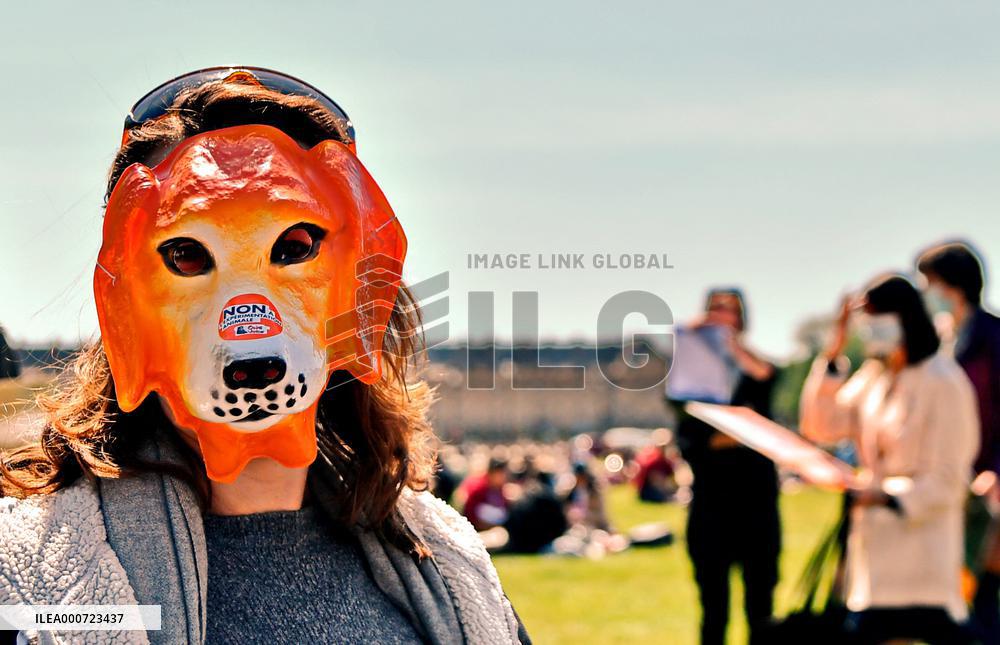 Stop animal testing Protest in Paris
