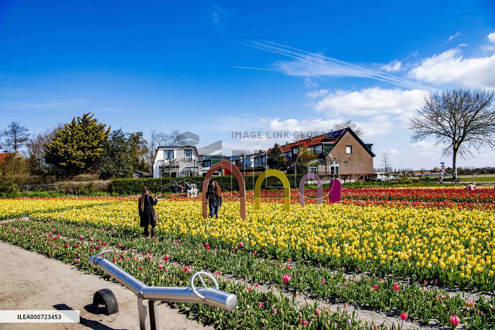 Keukenhof Welcomes Visitors For Tulip Season - Netherlands