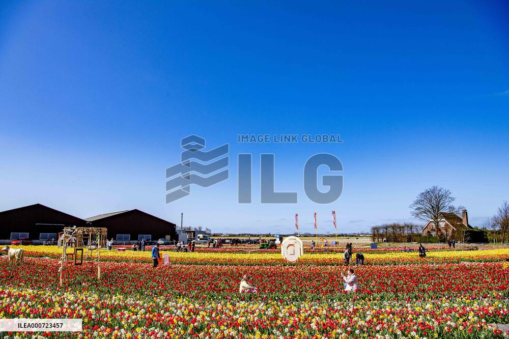 Keukenhof Welcomes Visitors For Tulip Season - Netherlands