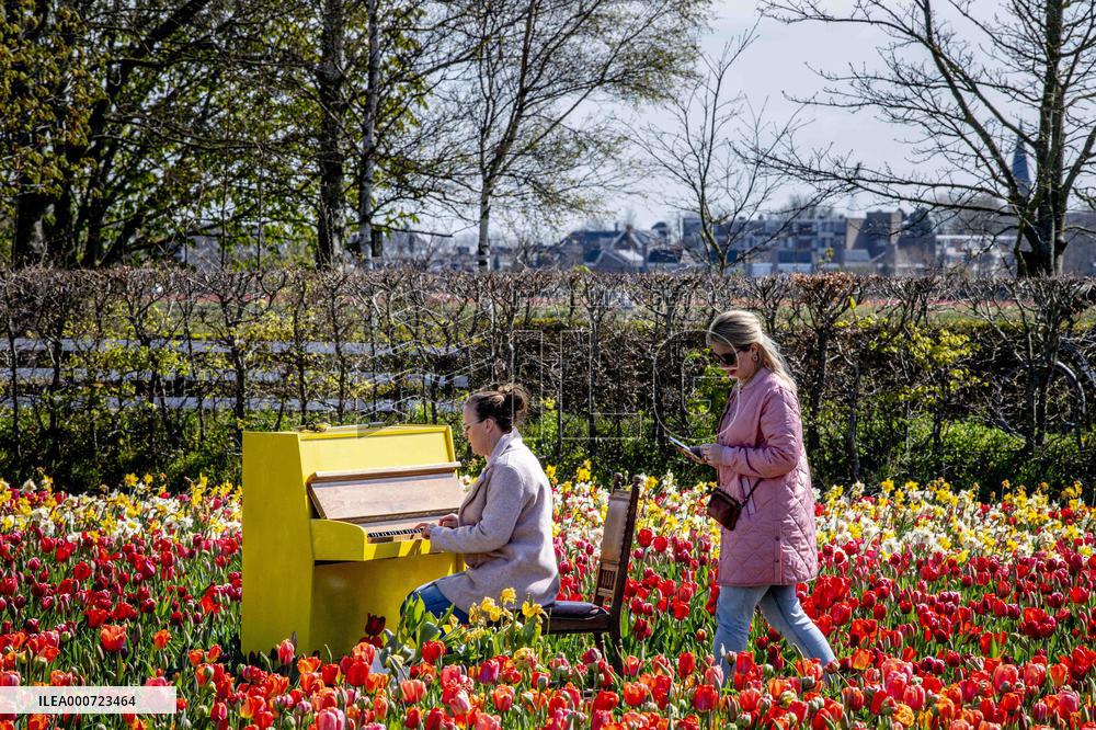 Keukenhof Welcomes Visitors For Tulip Season - Netherlands