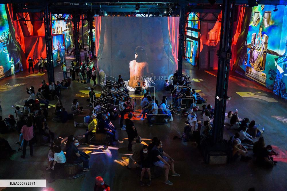 Salvador Dali Exhibition - Paris