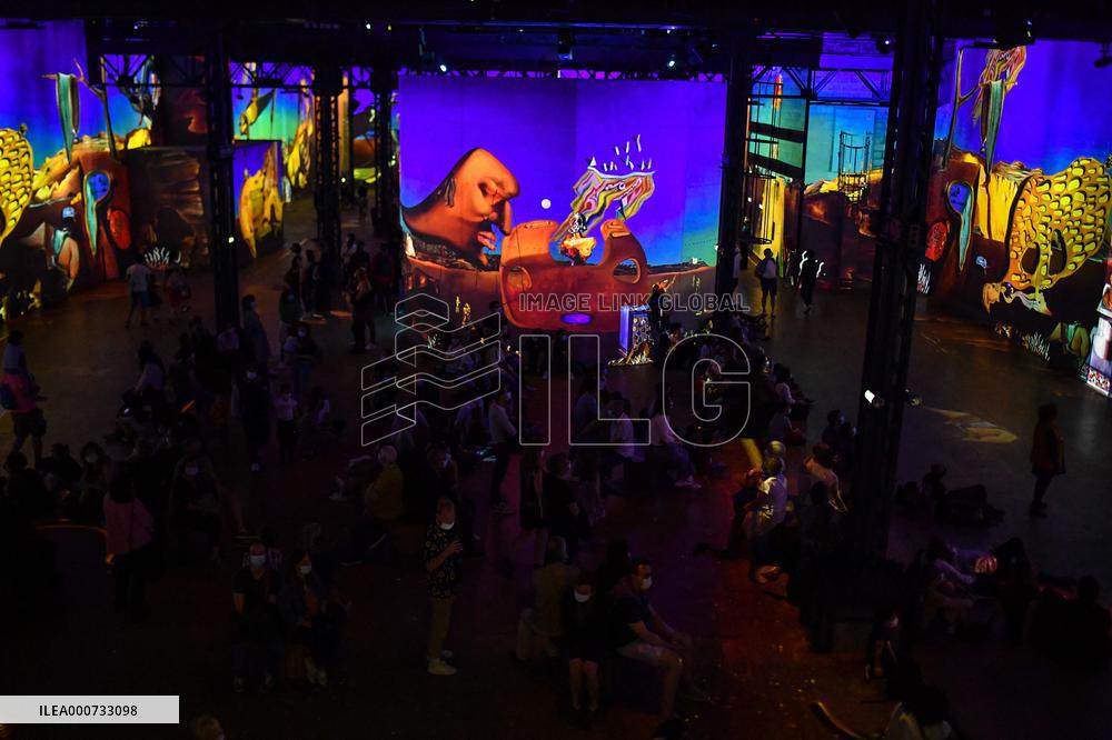 Salvador Dali Exhibition - Paris