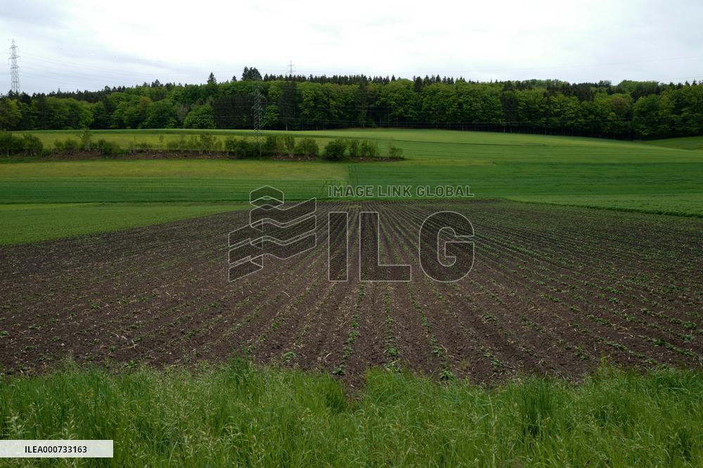 Voters To Cast Ballots On Pesticide-Free Farming - Switzerland