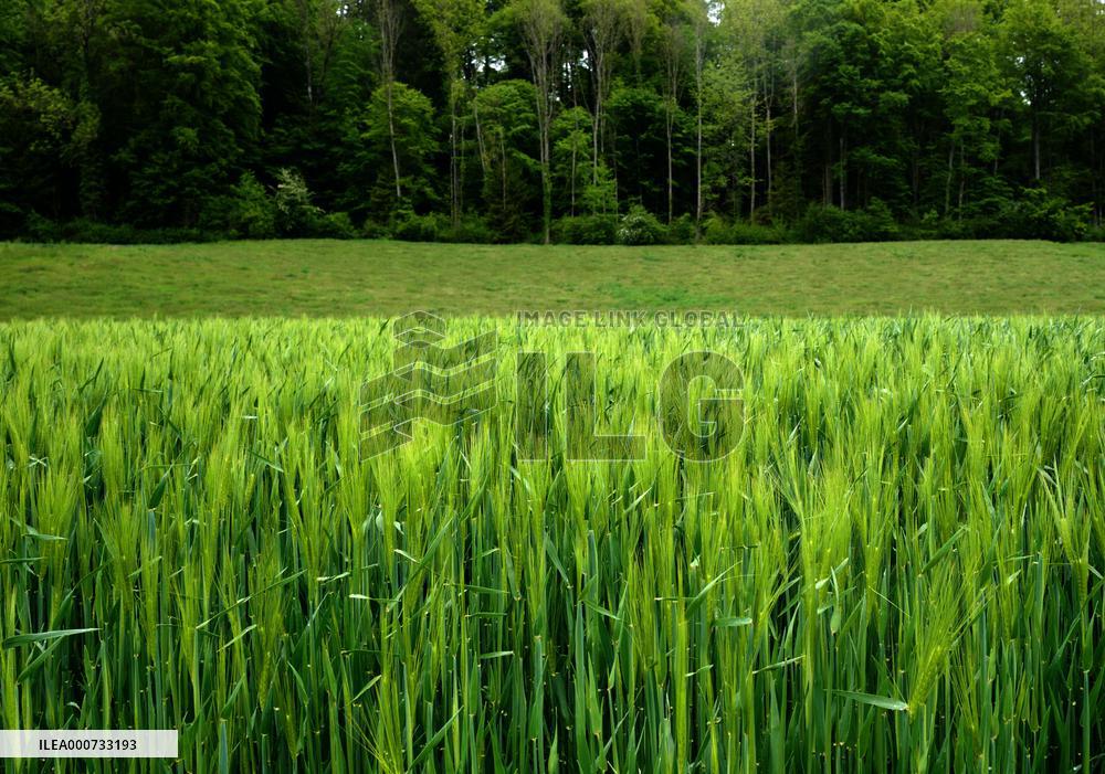 Voters To Cast Ballots On Pesticide-Free Farming - Switzerland