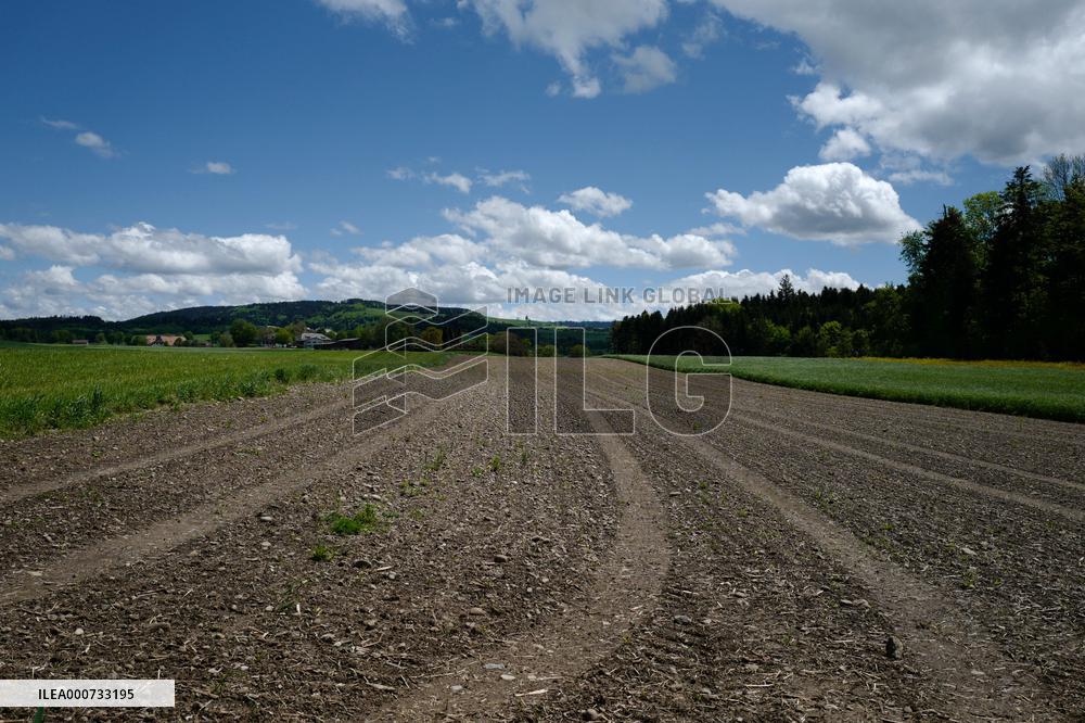 Voters To Cast Ballots On Pesticide-Free Farming - Switzerland