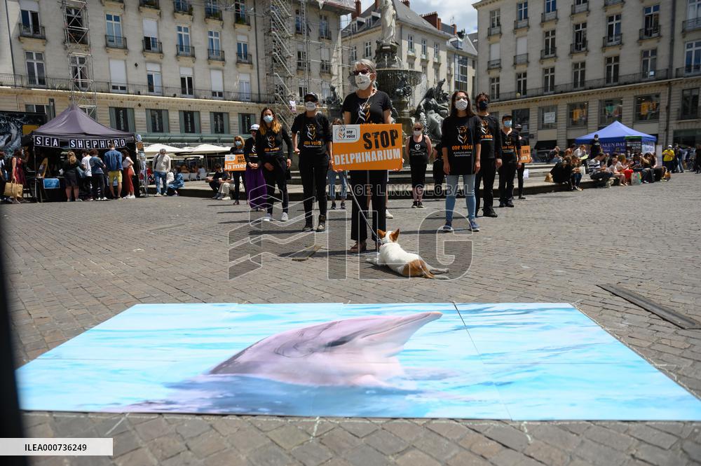 One Voice Protest For Closure Of Dolphinariums - Nantes