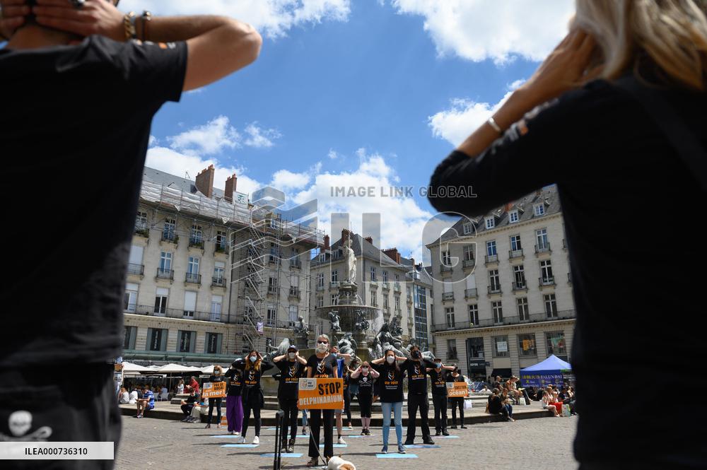 One Voice Protest For Closure Of Dolphinariums - Nantes