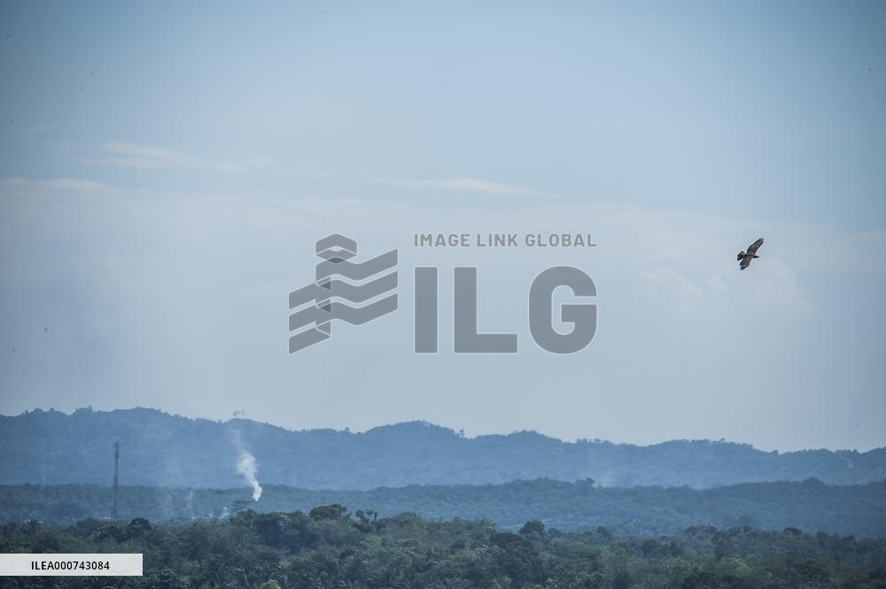 Palm Oil Indursty in Indonesia