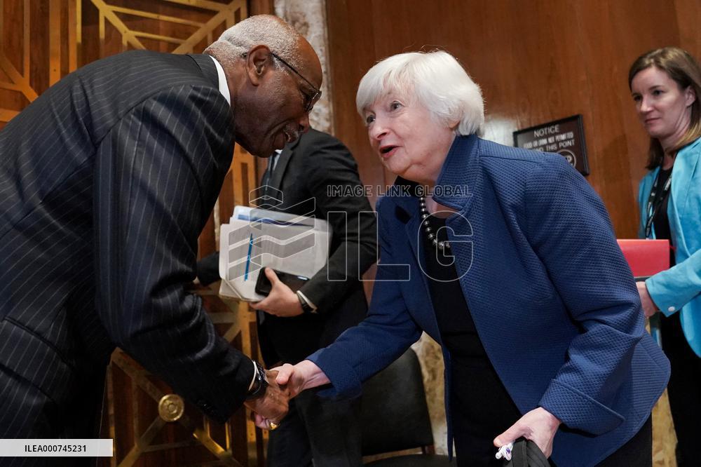 Treasury Secretary Janet Yellen Hearing - Washington