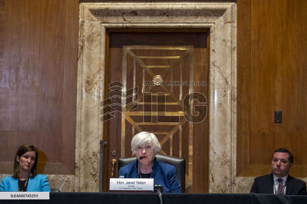 Treasury Secretary Janet Yellen Hearing - Washington