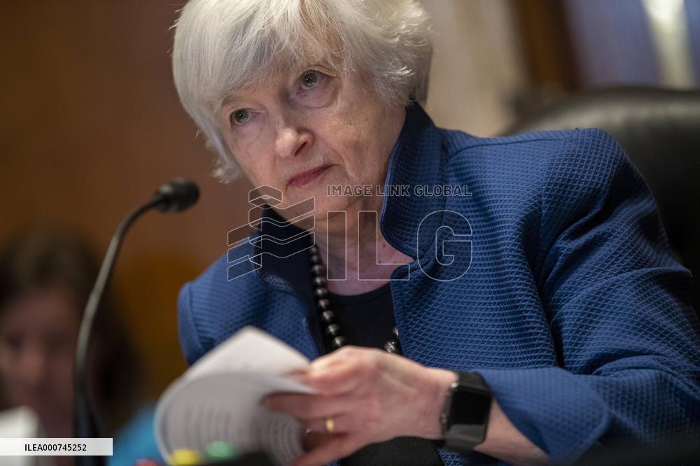 Treasury Secretary Janet Yellen Hearing - Washington