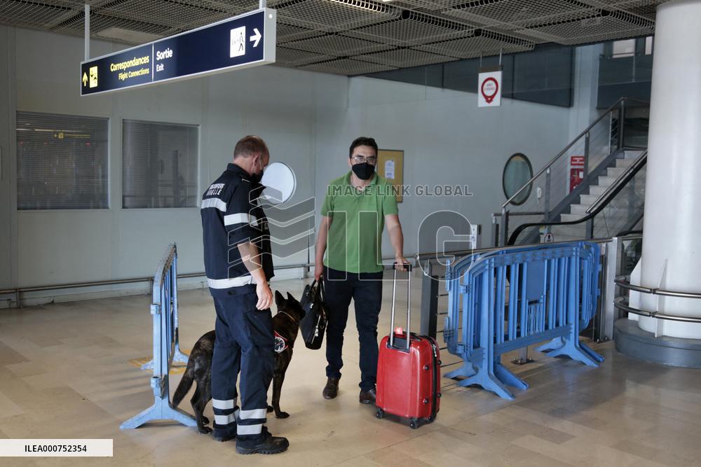 Sniffer dogs detect people infected with Covid 19 in Airport - Marseille