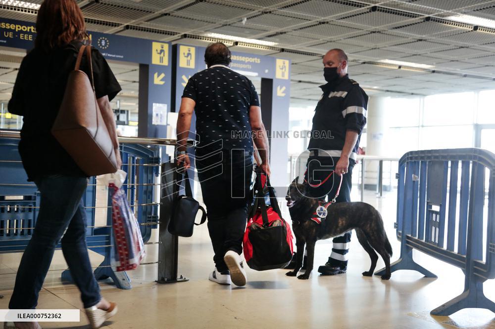 Sniffer dogs detect people infected with Covid 19 in Airport - Marseille