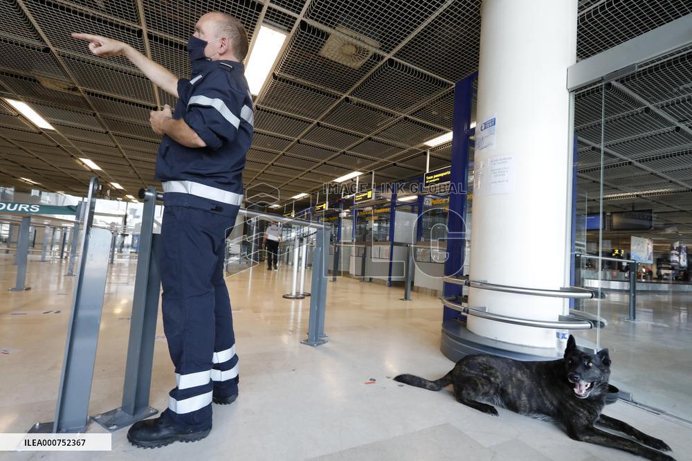 Sniffer dogs detect people infected with Covid 19 in Airport - Marseille