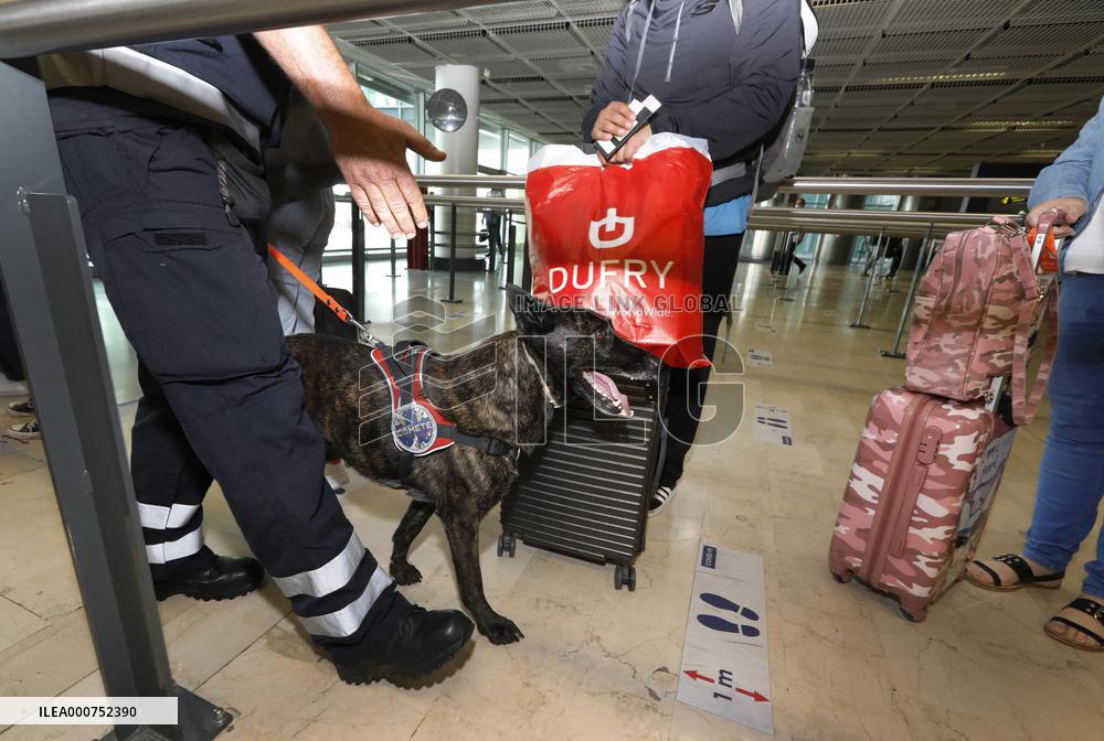 Sniffer dogs detect people infected with Covid 19 in Airport - Marseille