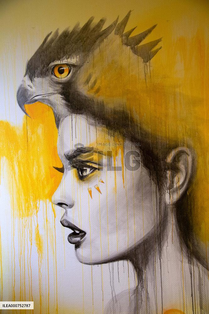 The Colors Festival Exhibition