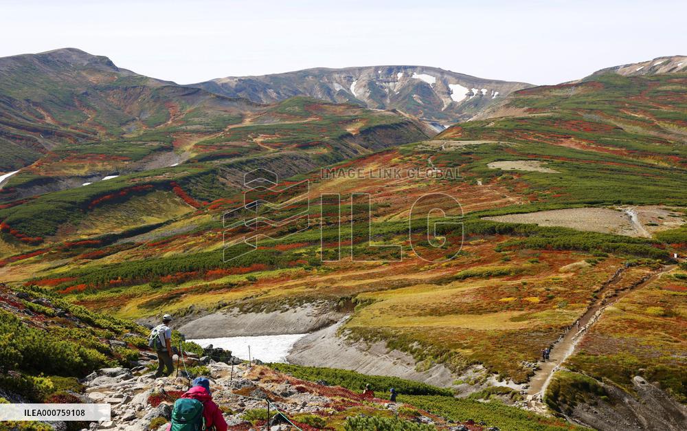 Autumn leaves in northern Japan mountains