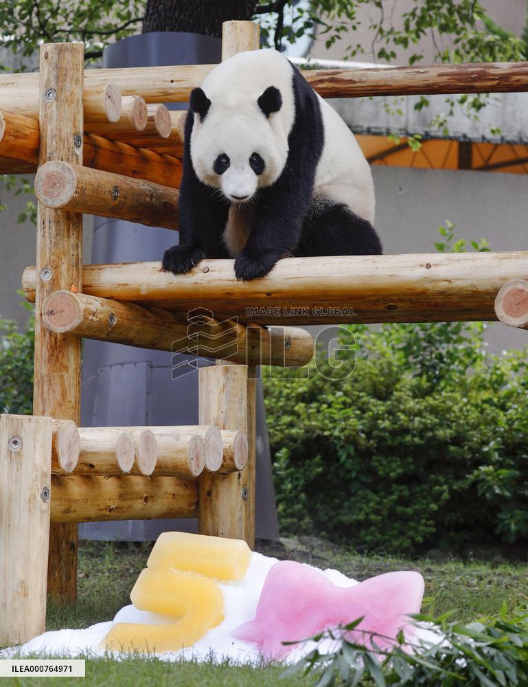 Giant panda at western Japan zoo