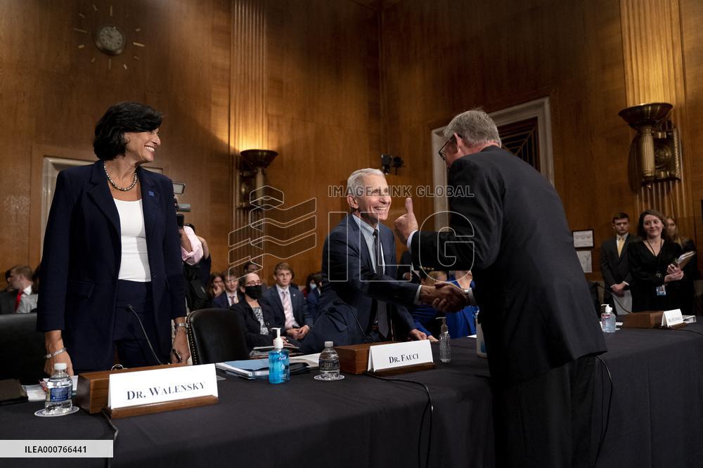 Fauci and Walensky Testify on Covid at Senate committee Hearing