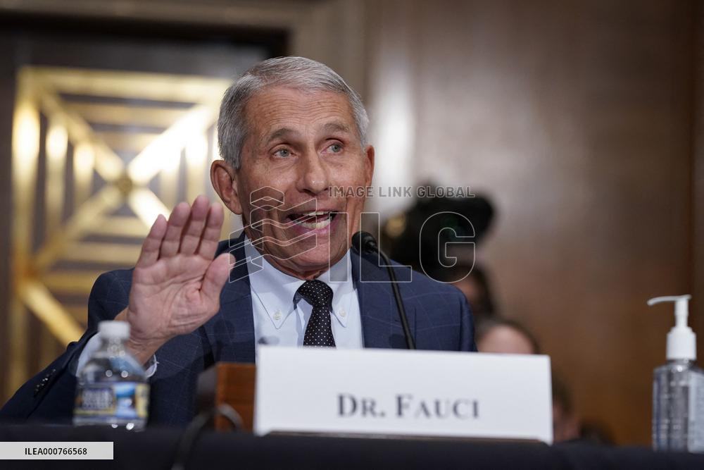 Anthony Fauci Testifies At The Senate - Washington