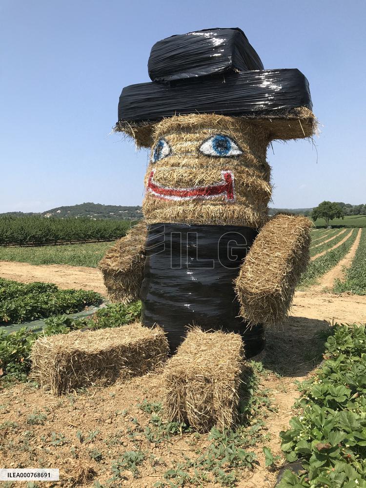 Artwork With Hay Bales - France