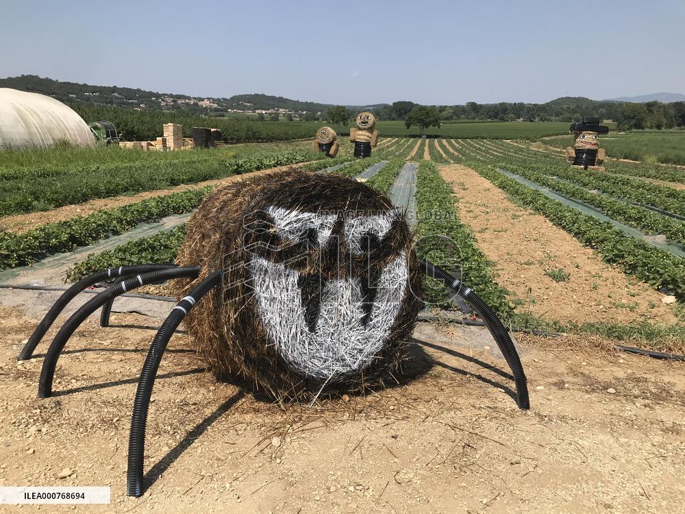 Artwork With Hay Bales - France