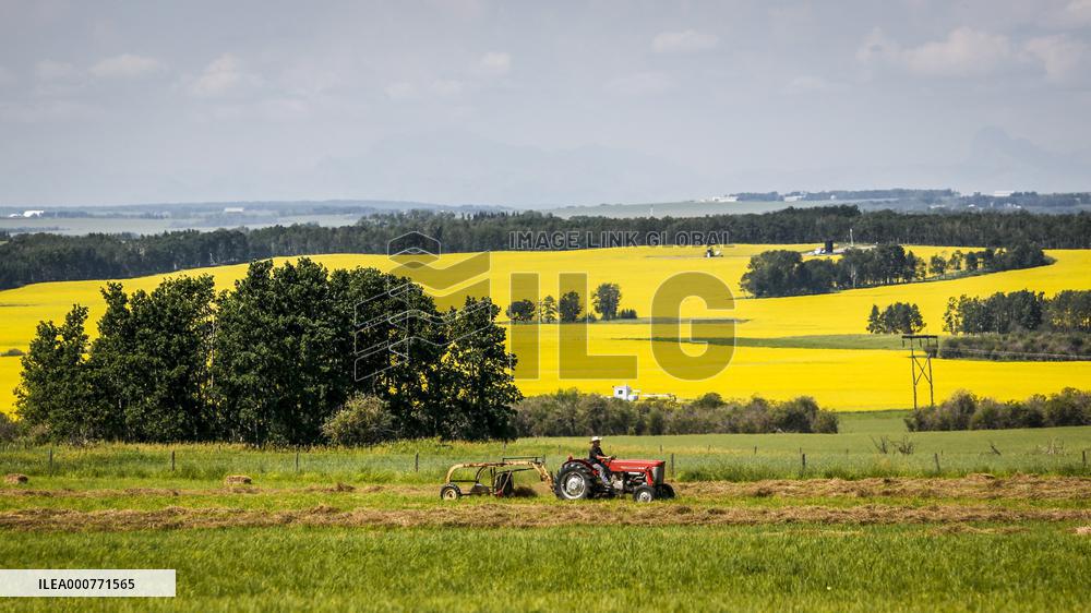 Oil drilling rig near the fields - Canada