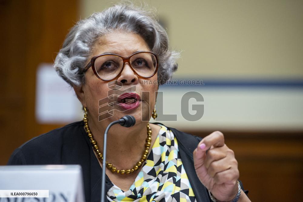 Oversight and Reform hearing on Democracy in Danger - Washington